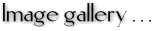 Gallery heading